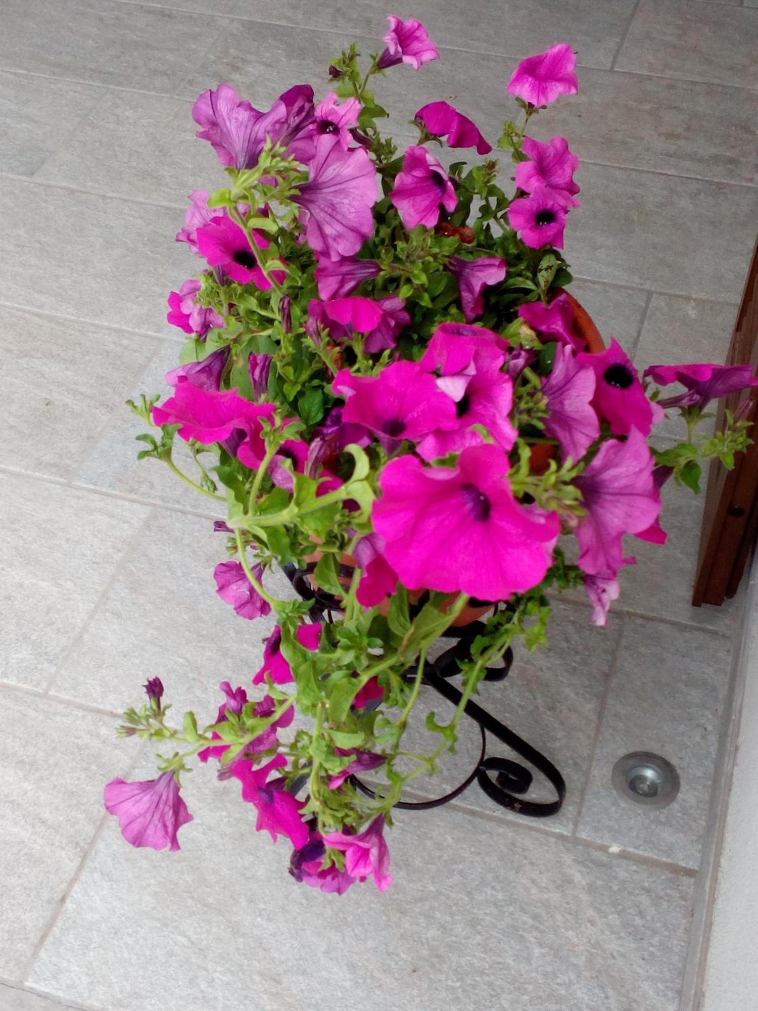 Agriturismo Corte Fontana ซาโล ห้อง รูปภาพ